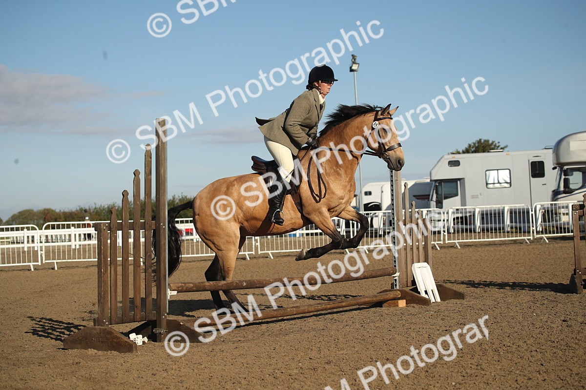 SBM_11565 - Class 502 - Riding Club Horse