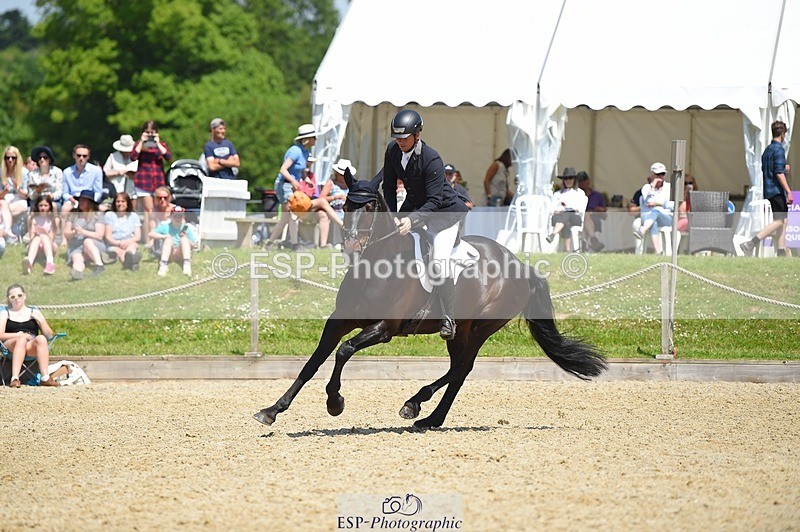 230528-115432-15435 - 363-RLE_KHALEESI_C-Christopher_Wincer-SUNTrotUp+SJ