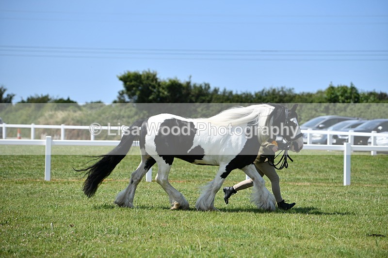 DSC_7809 - Class 64: Coloured Pony 4yrs & over