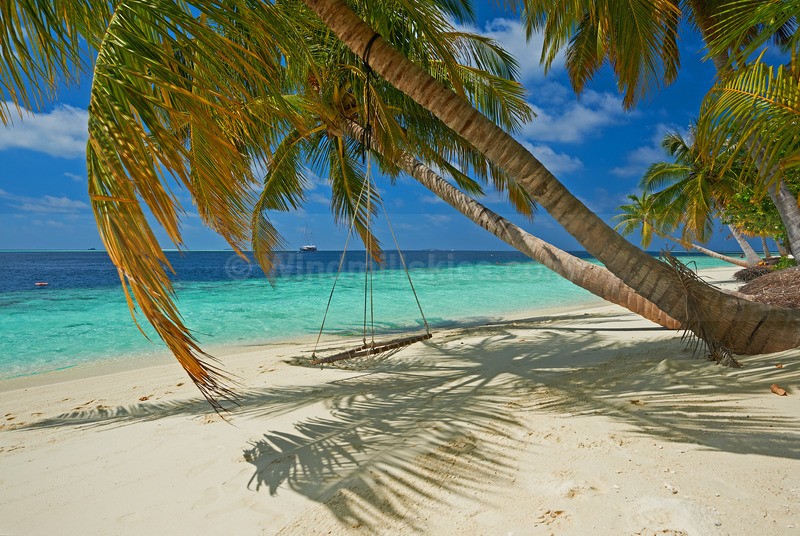 0124_37 - Maldives