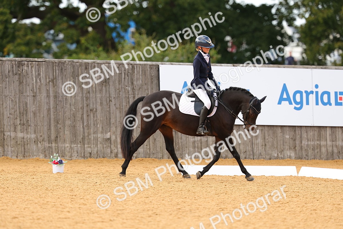 SBM_48345 - D22 - Junior Championship - Intro B