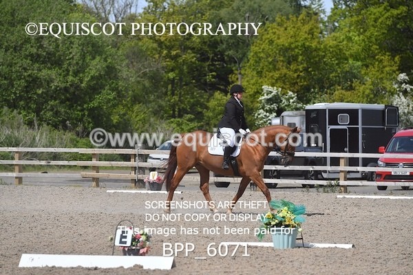 BPP_6071 - 1 G NEIL