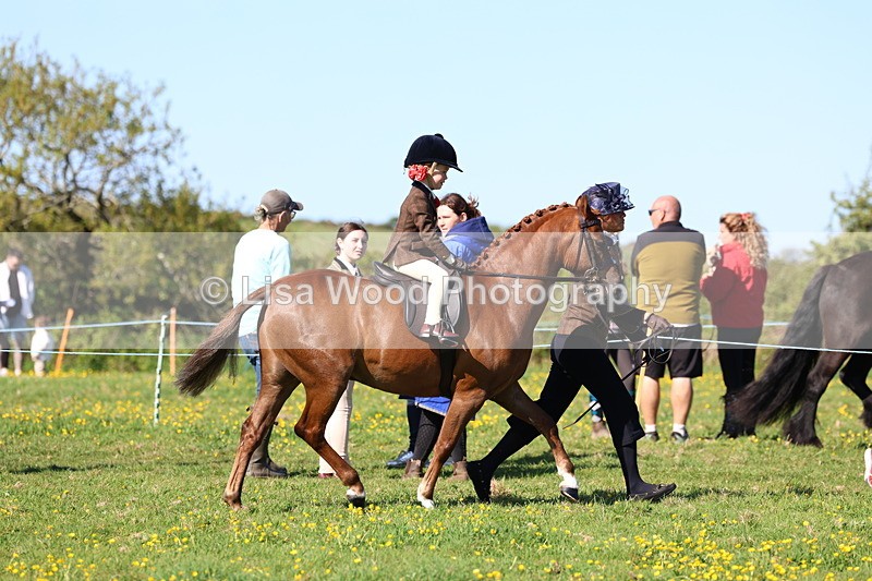 3E7A8796 - Class 2: Lead rein