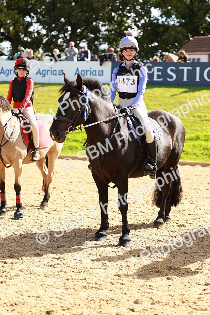 SBM_17418 - E4b - Eventers Challenge 60cm Open