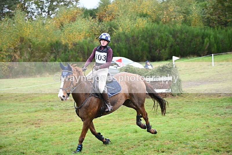 WJ6_1678 - 80cm Cam 1 Time 10:08 to 10:45