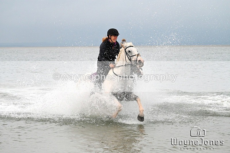 WJ7_9576 - Hayling Island Beach Shoot 22-09-24
