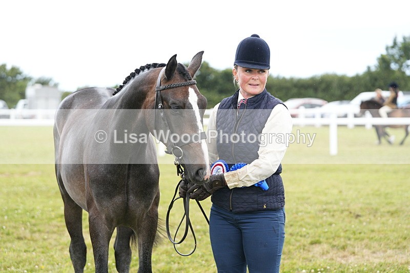 DSC06450 - Hunter/Riding Horse/Hack In Hand Championship