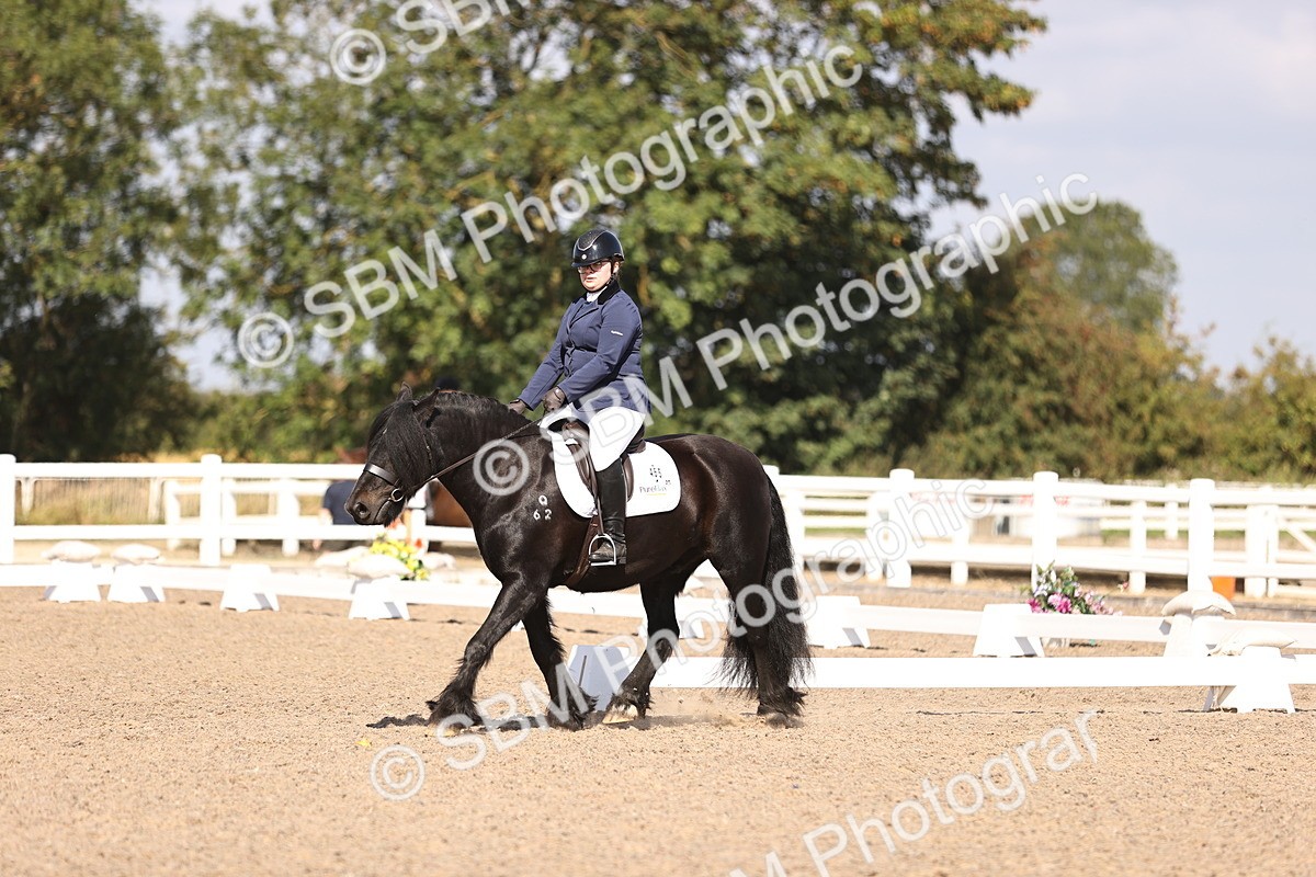 SBM_03532 - CLass 35 Intro 3