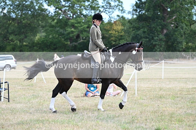 WJ7_5926 - Class 13 Ridden Veterans