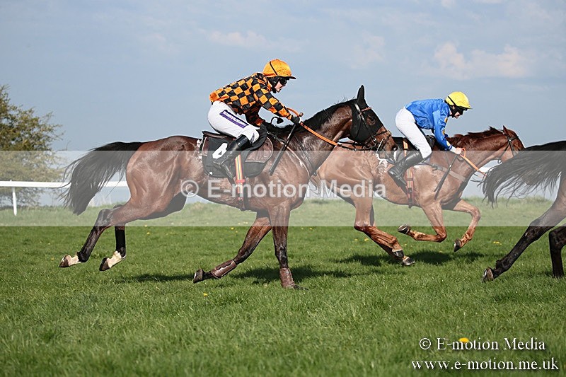 PtP 210418 544 - South & West Wilts Point-to-Point Larkhill 21/04/18