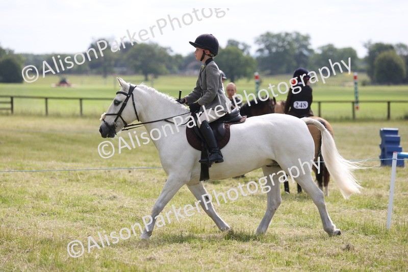20260614-0558 - Class 20 - Beginners Working Hunter Pony