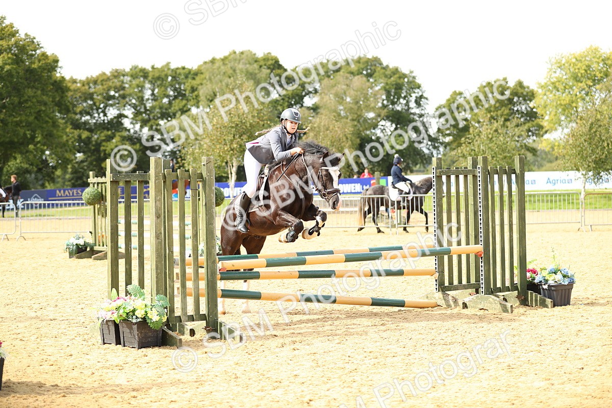 SBM_67113 - J17 - Junior Pony 80cm Championship