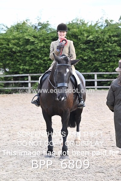BPP_6809 - RING 1  (RIDDEN HORSES / IN HAND / VETERAN ETC)
