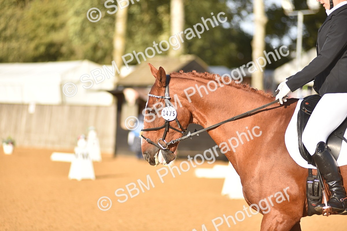 SBM_29709 - D16 -Small Tour Championship Novice 2