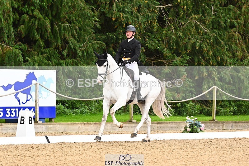 231020-143135-10276 - 207-CARRICK.DIAMOND.BARD-Alex.Holman-DR