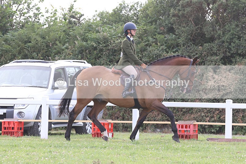 JPP_4403 - Class 26: Working Hunter 1m