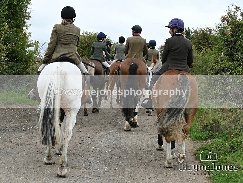 WJ7_0919 - Berks & Bucks Hound Exercise Blewbury 13-09-26
