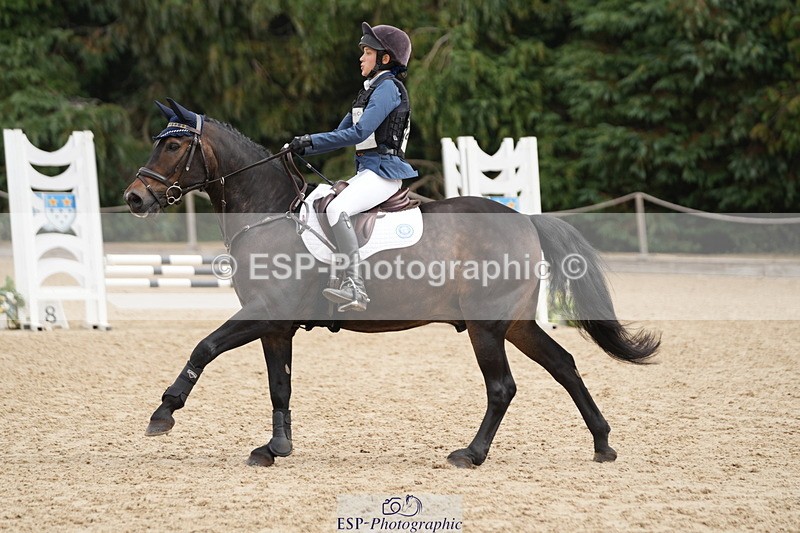 250824A-121435-35884 - 2053-Ava.Sampson-Chameleon