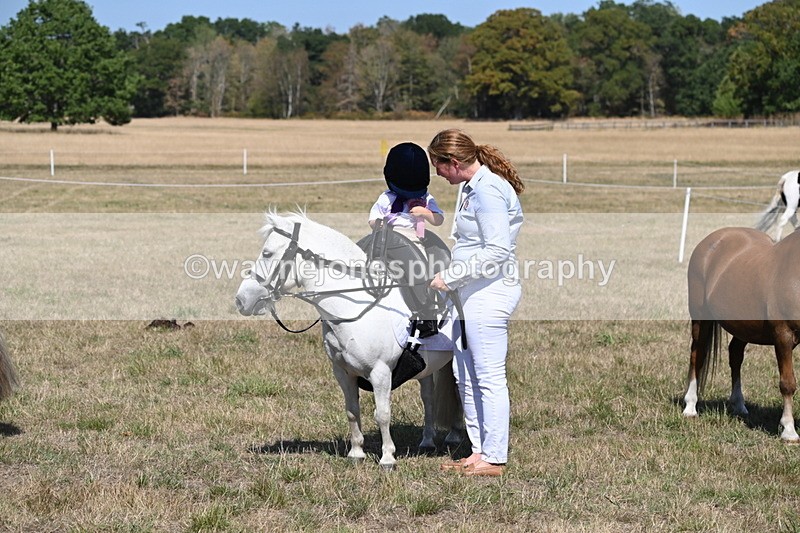 WJ6_9515 - Class 40 Cheekiest Pony/Horse