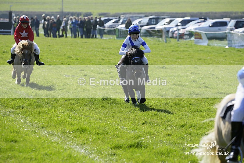 PtP 190322 22 - Wilton Hunt PtP Milborne St Andrew 19/03/22
