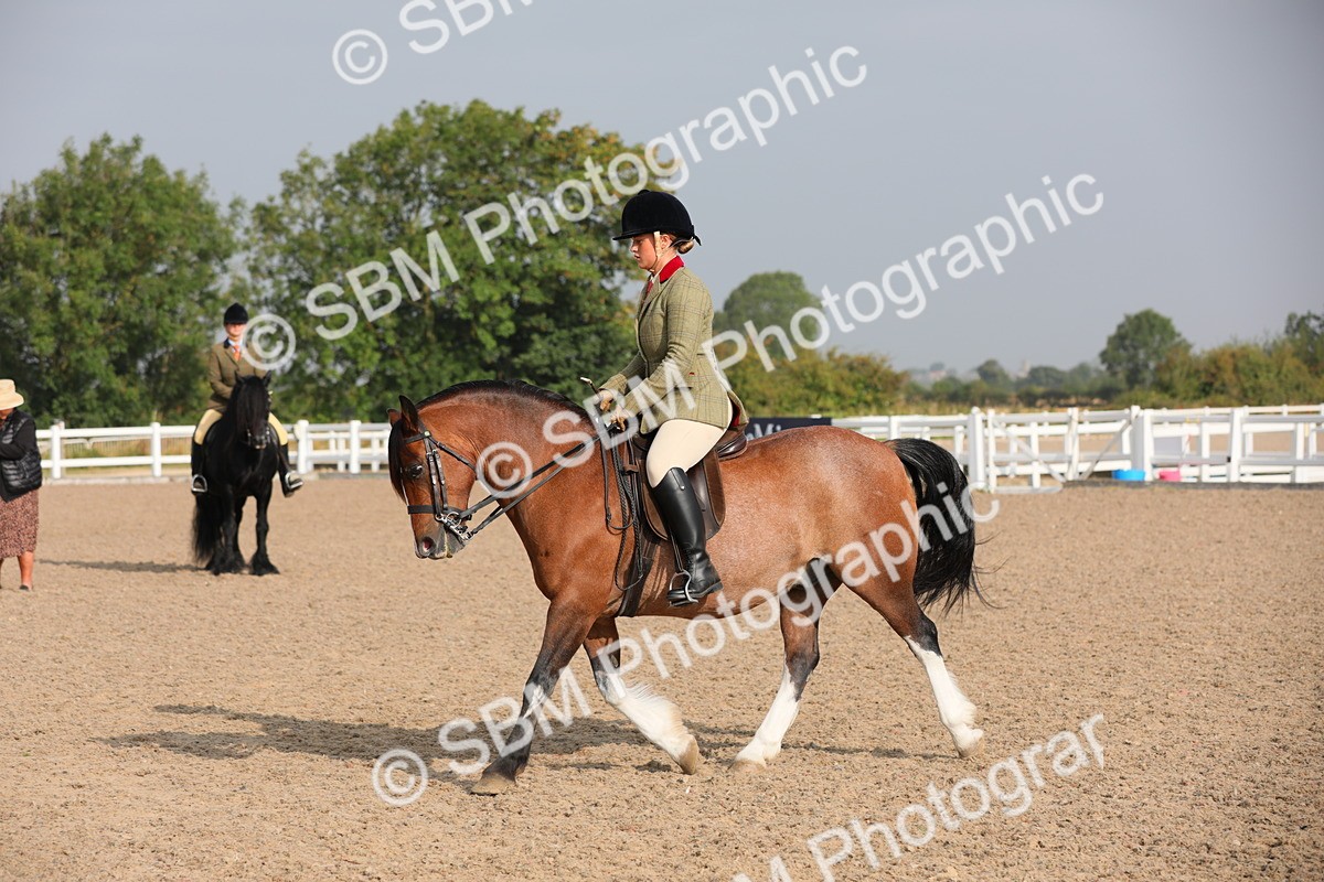 SBM_10098 - Class 302 Ridden M&M -Large Breeds