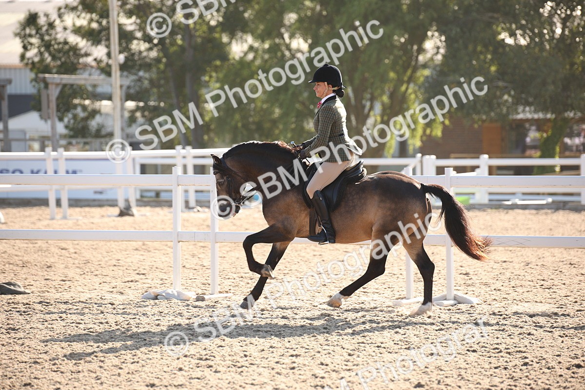 SBM_00657 - Class 14 Ridden M&M Wildcard