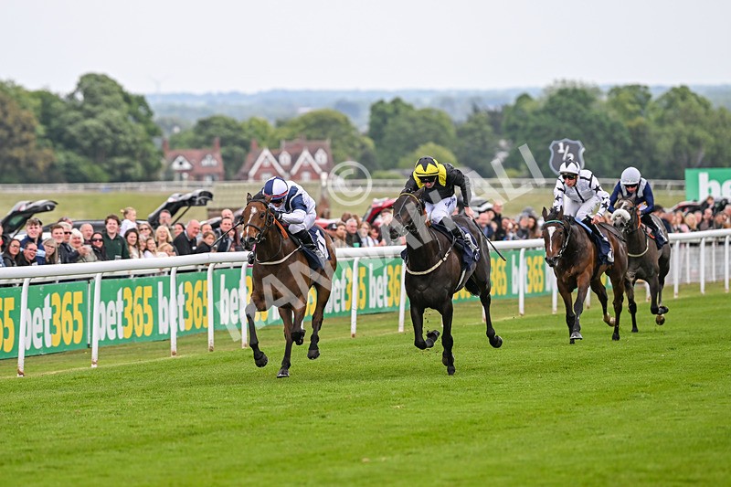 240525-Race 2-Argentine Tango-0249 - Race 2