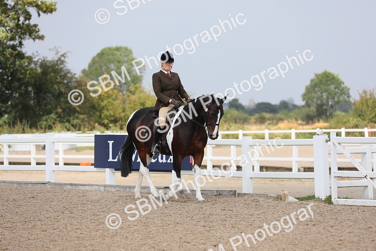 SBM_13329 - Class 308 Ridden Coloured Horse