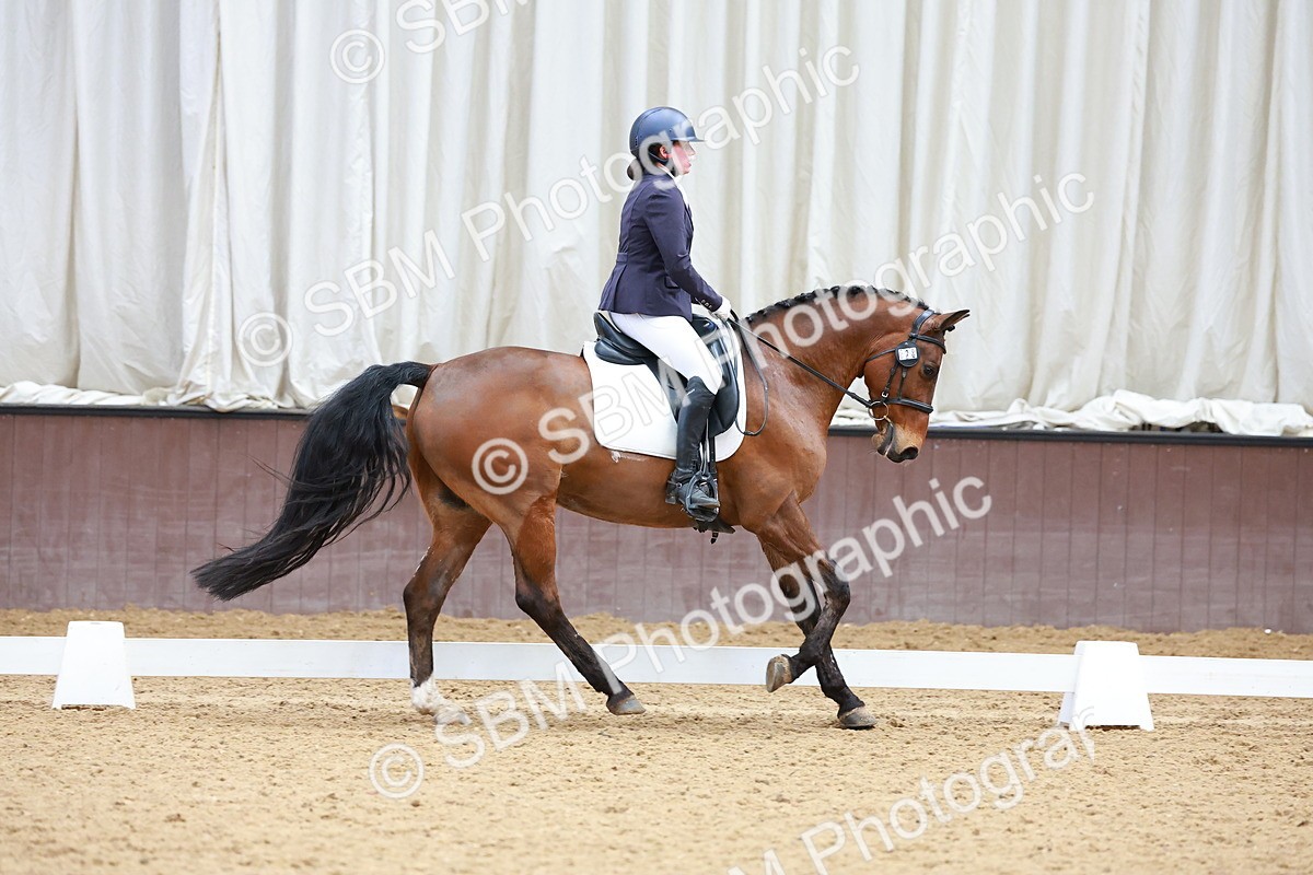 SBM_003450 - Class 15-16-18 - Novice 3-Elementary 1-PYO