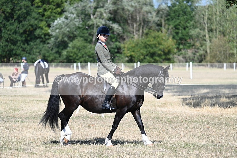 WJ7_3445 - Class 9 Mountain & Moorland Ridden