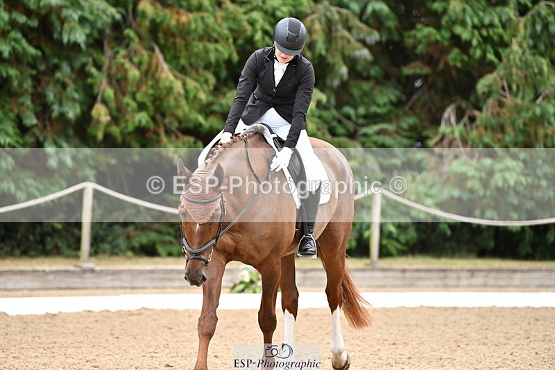 250808A-103341-00352 - 024-Daisy.Hedges-Felicia.V