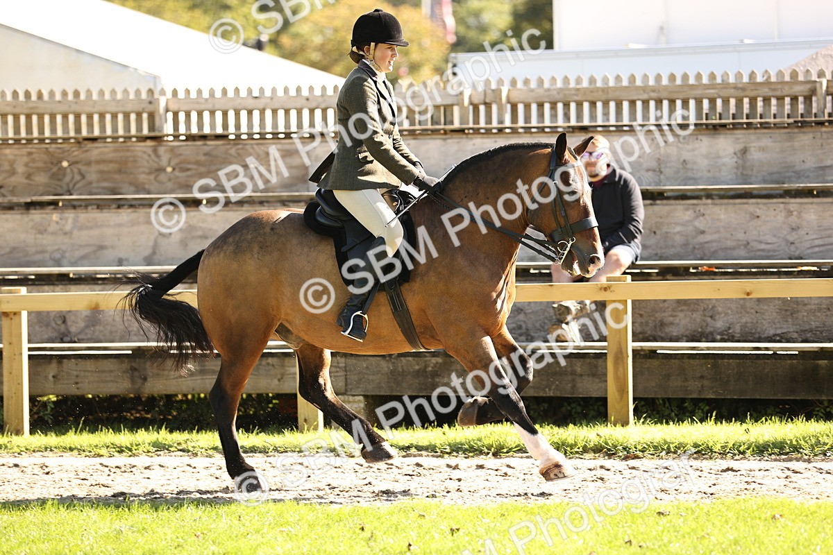 SBM_19124 - S3 - TSR Ridden Pony Showing