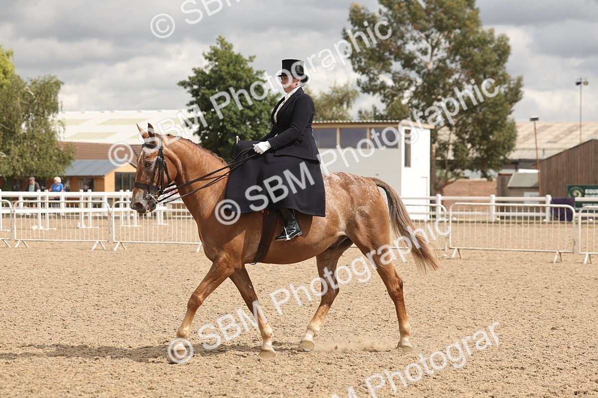 SBM_06345 - Class 22 - SSA - Equitation