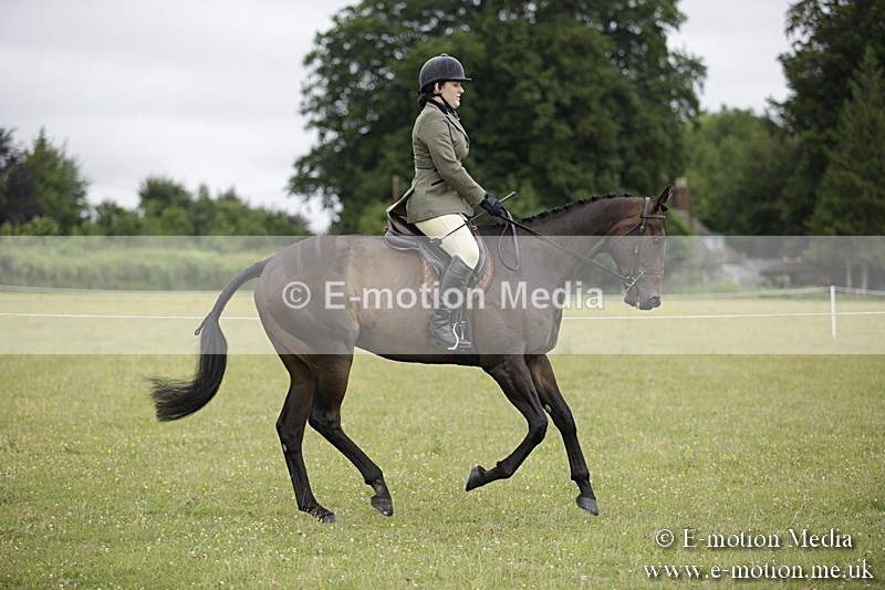 BVR160717-449 - Ring 1 BVRC Show 16/07/17