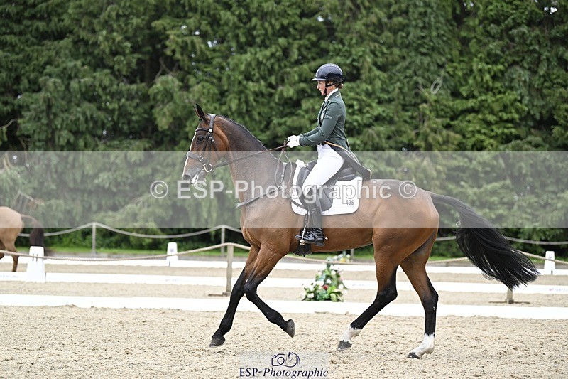 240523-153436-05249 - 436-IRENE_LEVA-Susie_Berry