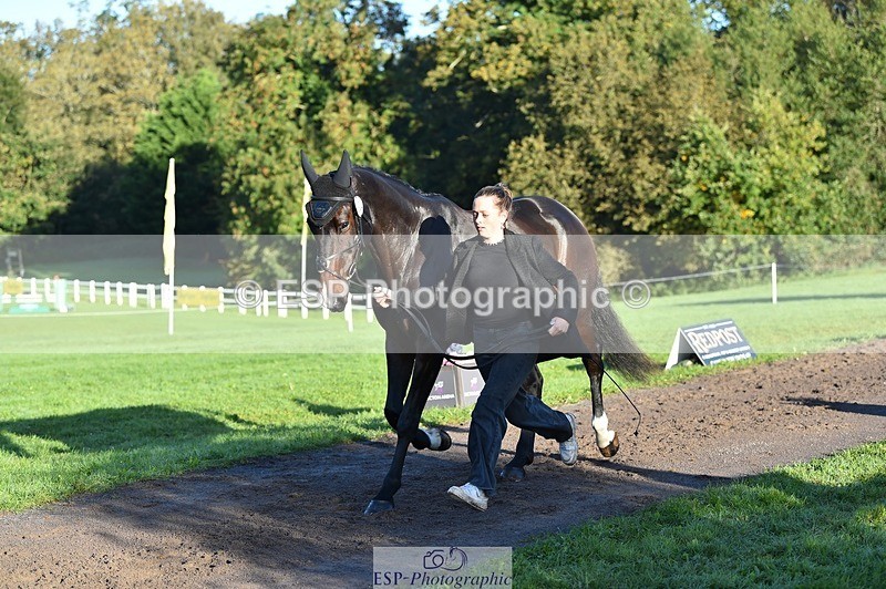 231022-092600-21783 - 632-ANGELL'S.CHOICE-Saffron.Cresswell-TrotUp+SJ