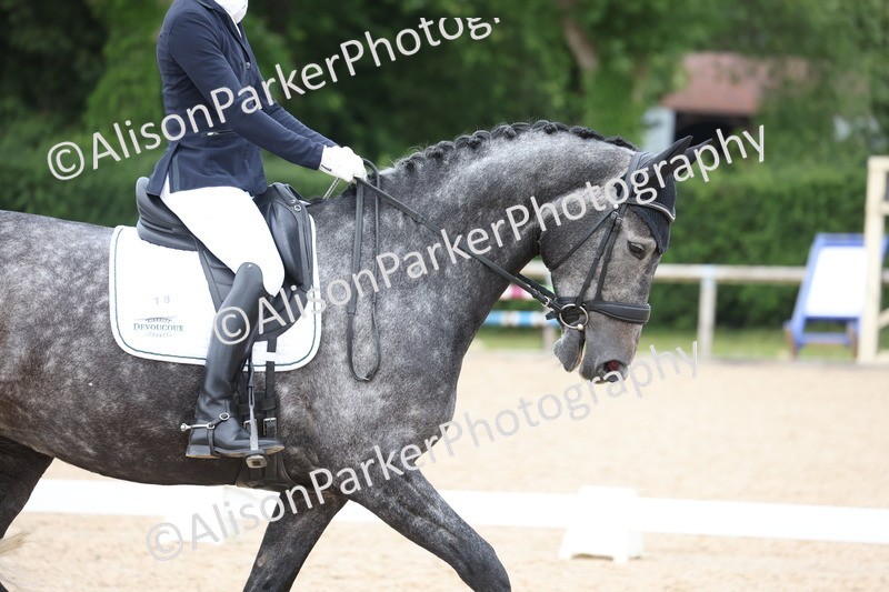 20250604-0741 - Class 4 - Novice 6