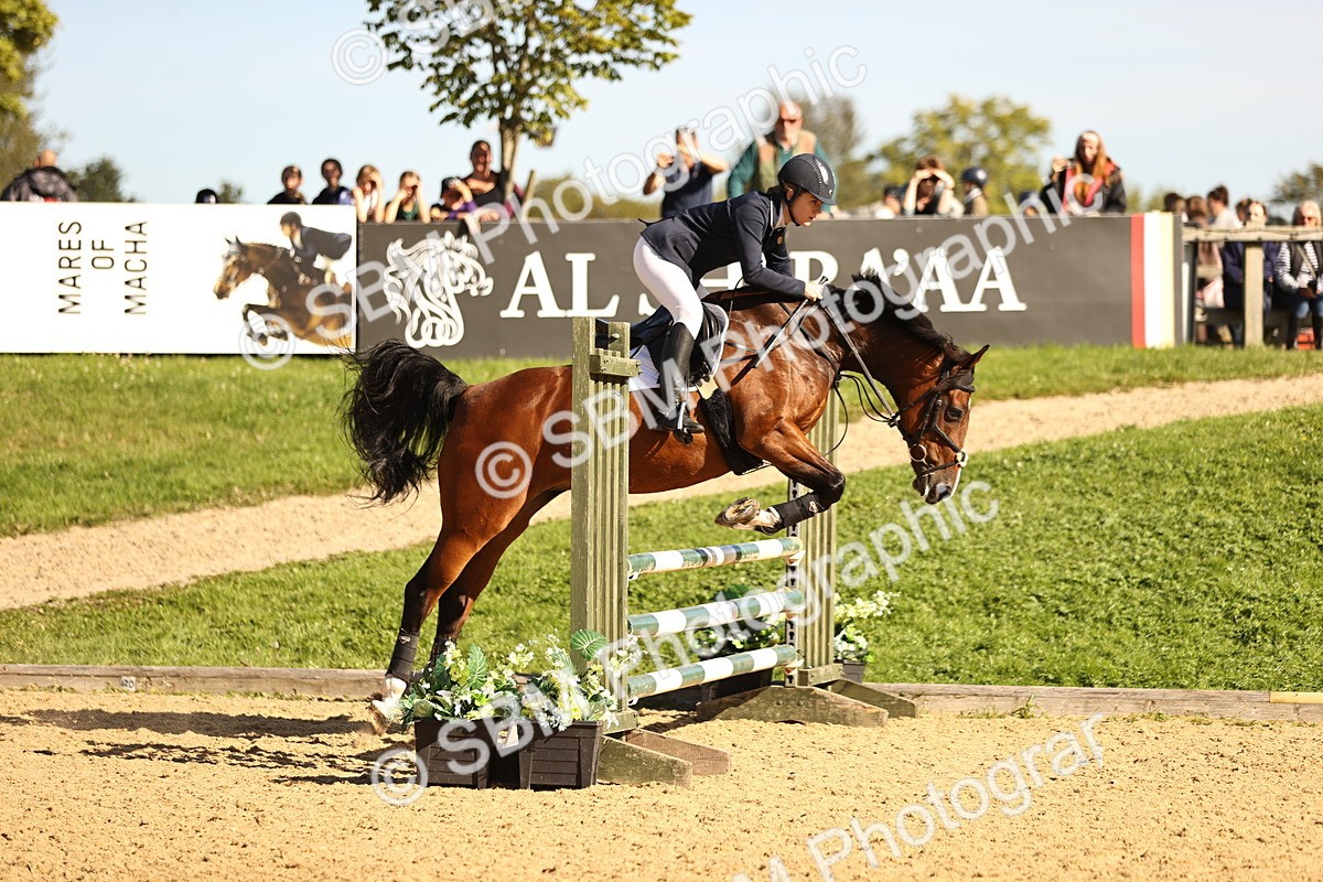 SBM_38208 - J39 - Senior 85cm Championship