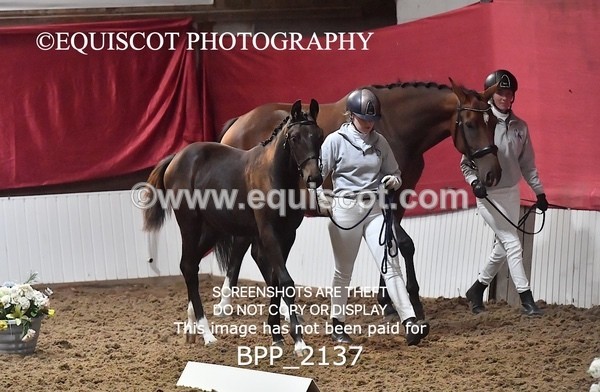 BPP_2137 - AFTERNOON 12.30 - 3.30PM