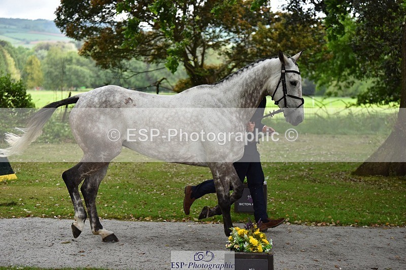 240522-150754-00111 - 369-STARMAN_III-Matthew_Hecking