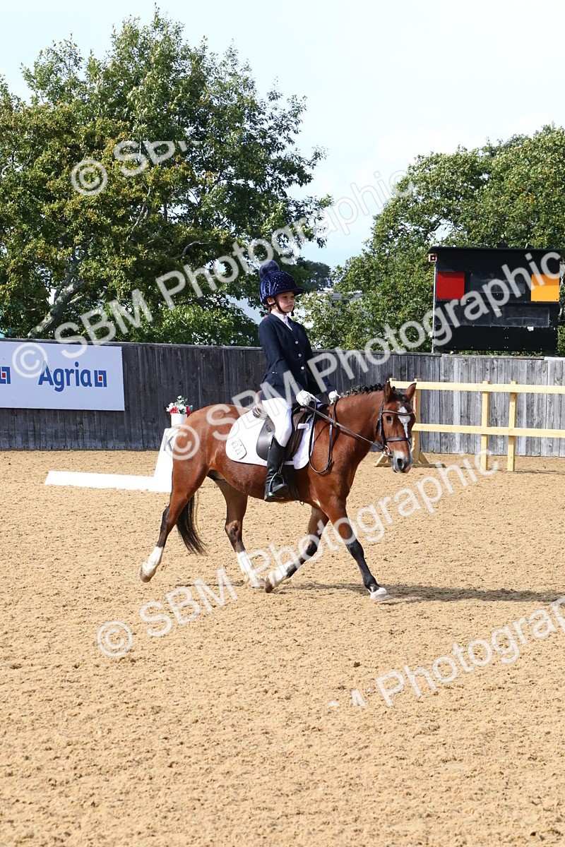 SBM_23577 - D5 - Small Tour Championshop Intro 2