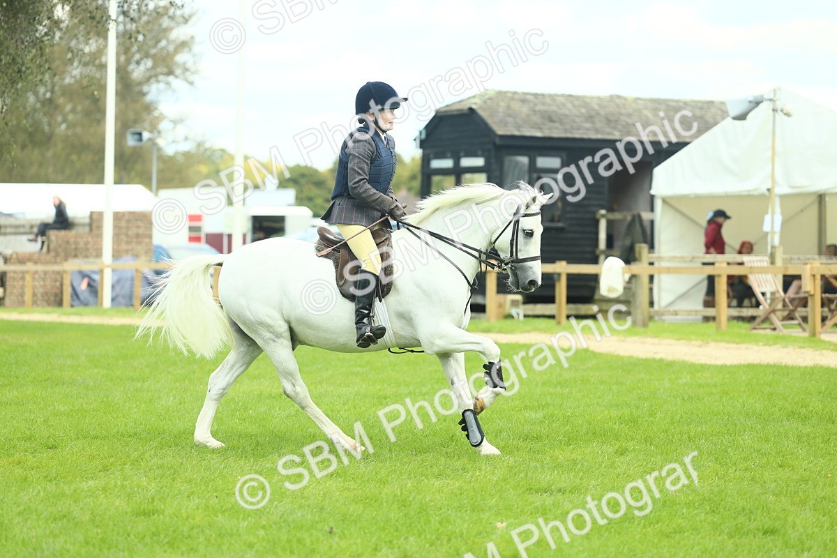 SBM_42794 - S30 - M&M Working hunter Pony