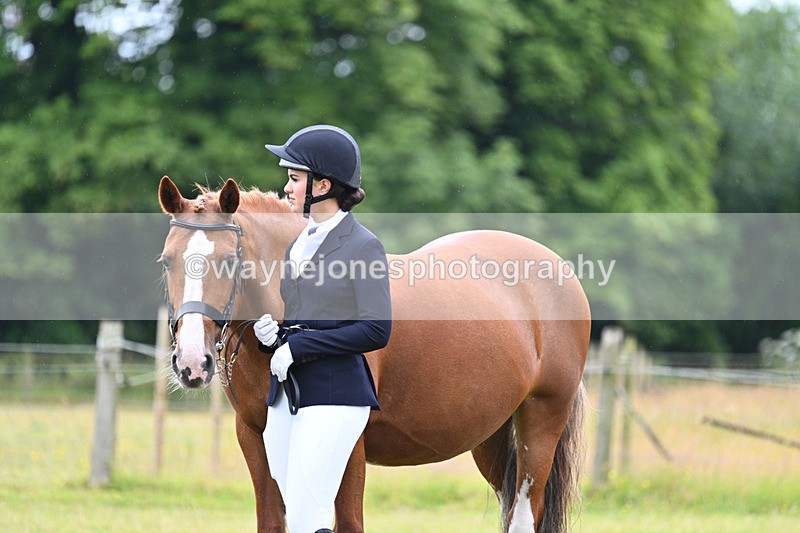 WJ7_6212 - Class 4a Prettiest Mare over 14hh
