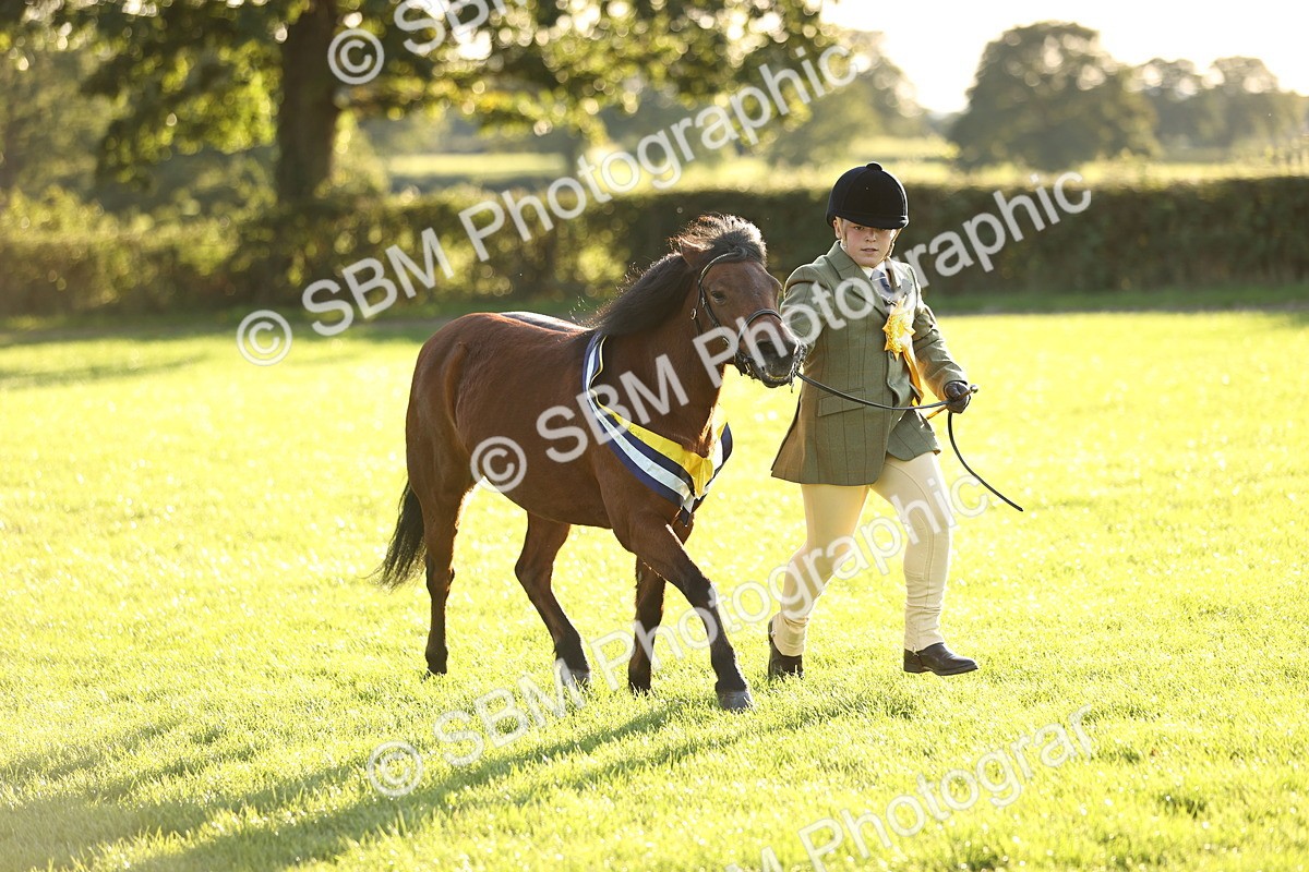 SBM_30154 - Novice & Newcomers Supreme Championship