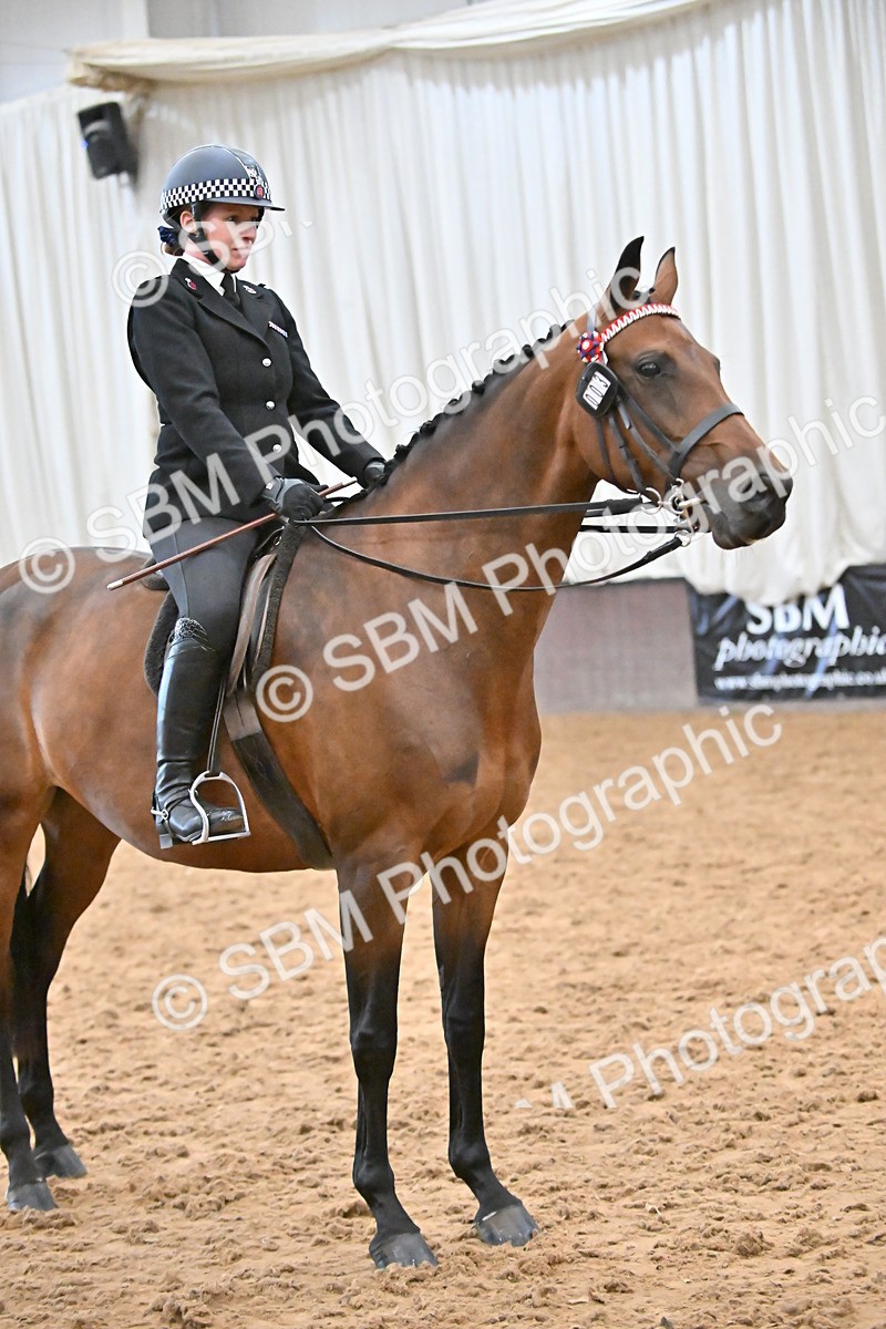 SBM_002364 - Class 22 - BSHA Ridden Hack & Riding Horse