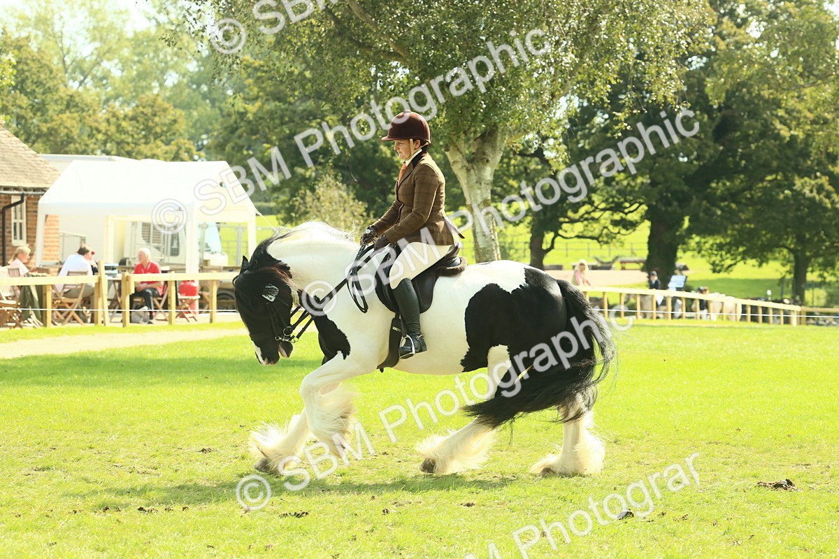 SBM_68793 - S58 - Mini Show Cob Ridden