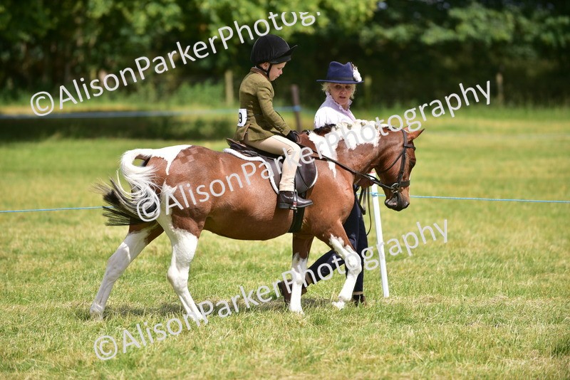 20260614-1358 - Class 11b - Lead Rein Pony (Plaited)