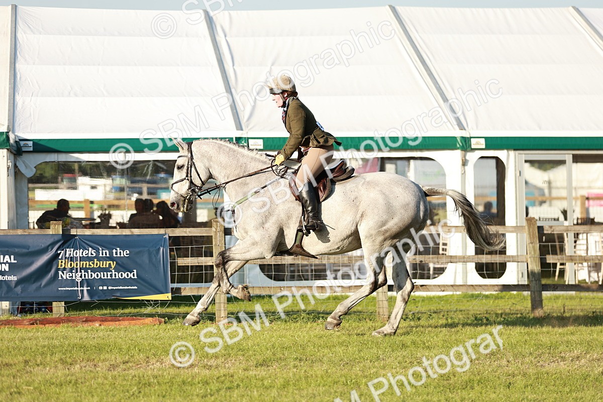 SBM_20499 - Class 117-119 - Sport Horse Working Hunter