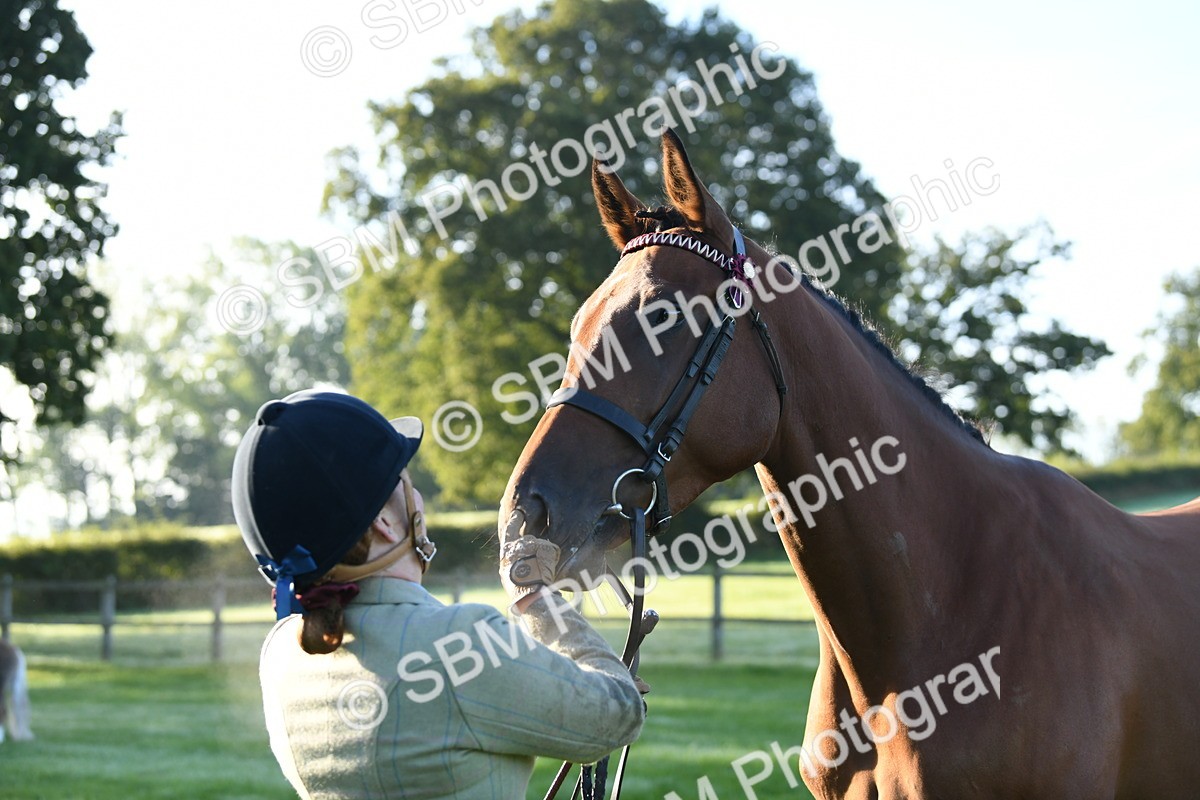 SBM_32778 - S15 - Condition & Turnout In Hand
