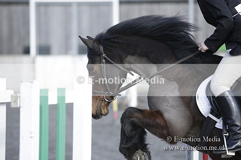 BVRC 050320 0082 - Bourne Valley riding Club Show Jumping Tidworth 08/03/20
